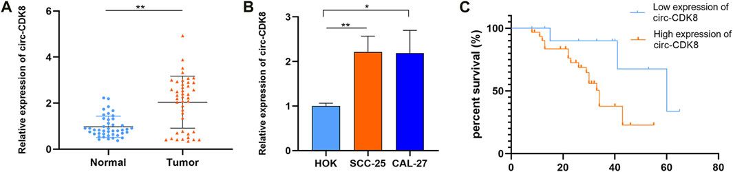 Circ-CDK8 regulates SLC7A11-mediated ferroptosis by inhibiting miR-615-5p to promote progression in oral squamous cell carcinomas