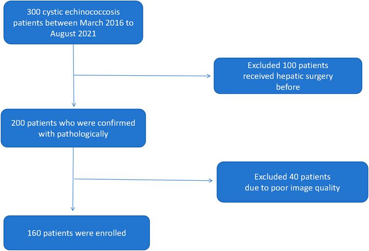 A deep learning radiomics model based on CT images for predicting the biological activity of hepatic cystic echinococcosis