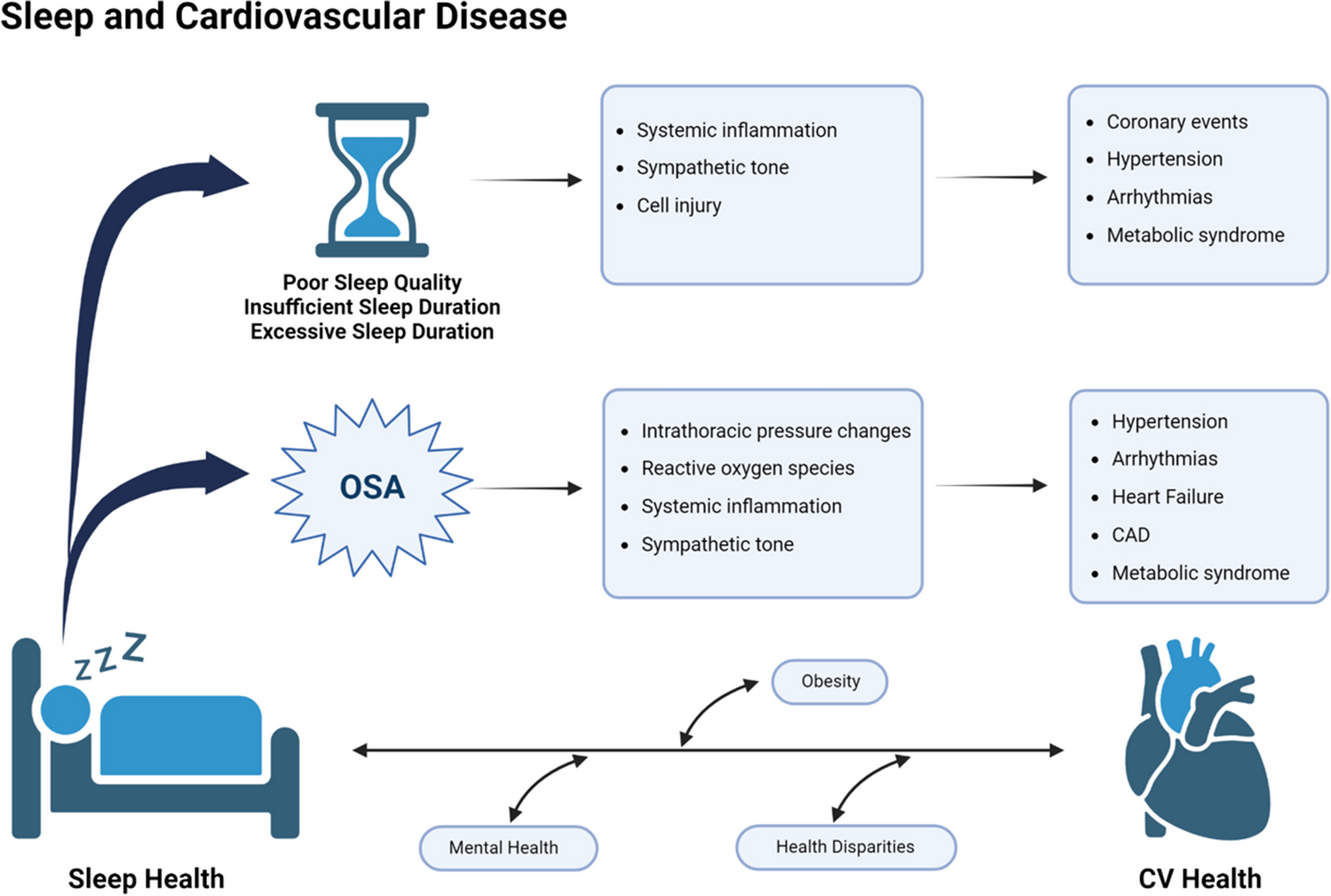 The Role of Sleep in Cardiovascular Disease