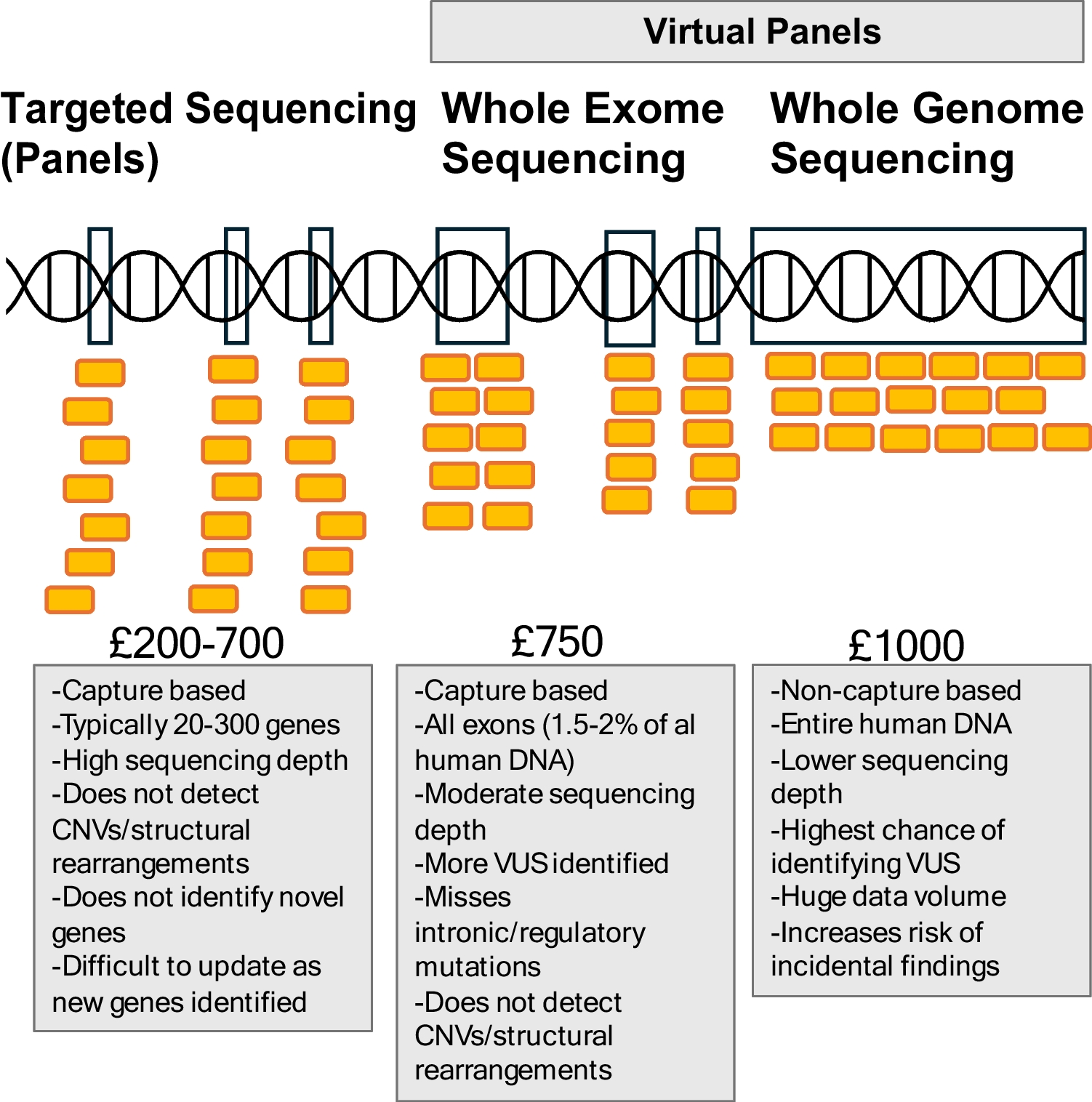 Role of Genetic Testing in Kidney Stone Disease: A Narrative Review