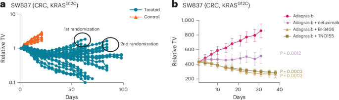 SOS1 inhibitor combinations overcome KRAS inhibitor resistance