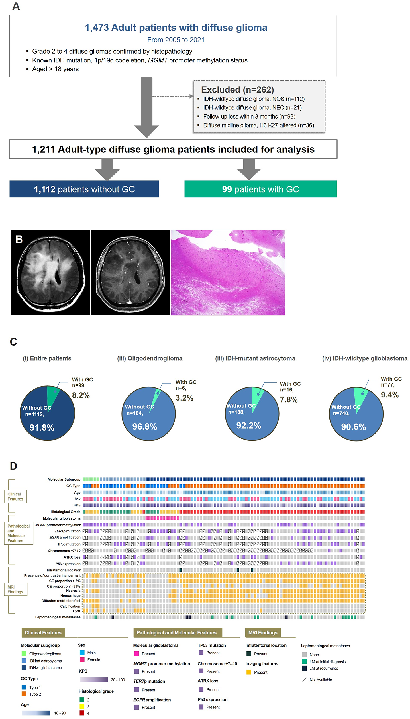 Revisiting gliomatosis cerebri in adult-type diffuse gliomas: a comprehensive imaging, genomic and clinical analysis