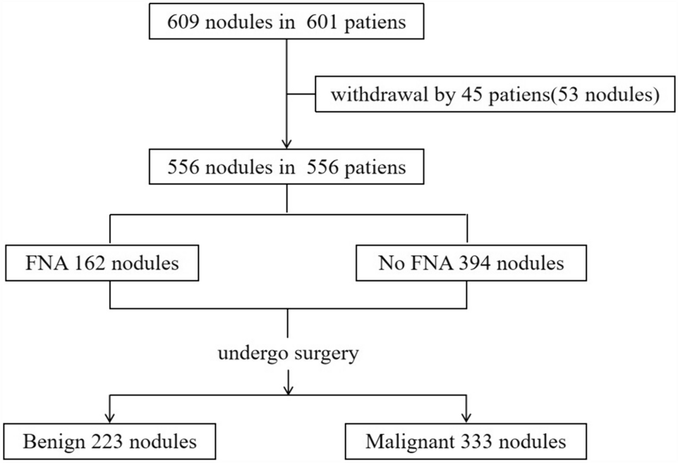 Predictive value of the single most suspicious ultrasound feature in subcentimeter thyroid nodules: a retrospective observational cohort study