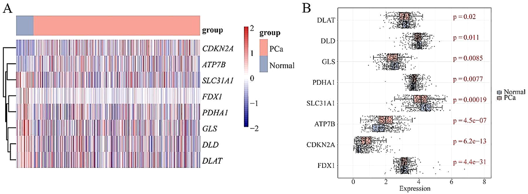 Establishment of a prognostic risk model for prostate cancer based on Gleason grading and cuprotosis related genes