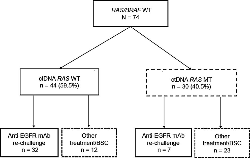 Efficacy of anti-epidermal growth factor antibody rechallenge in RAS/BRAF wild-type metastatic colorectal cancer: a multi-institutional observational study