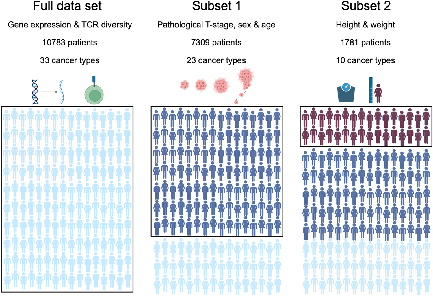 Exploring the impact of body mass index on tumor biology and cancer development