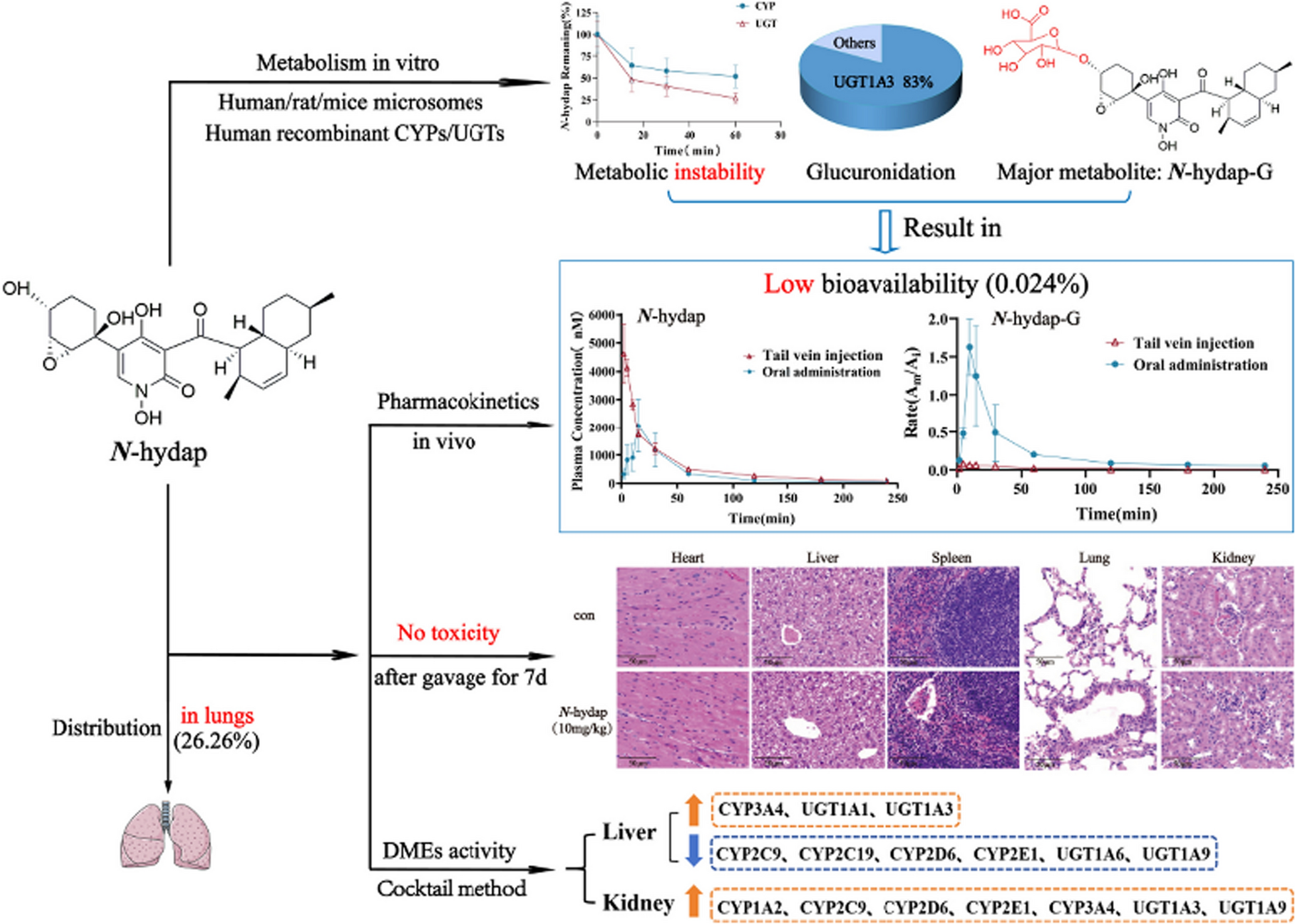 Correction: Metabolism characterization and toxicity of N-hydap, a marine candidate drug for lung cancer therapy by LC–MS method