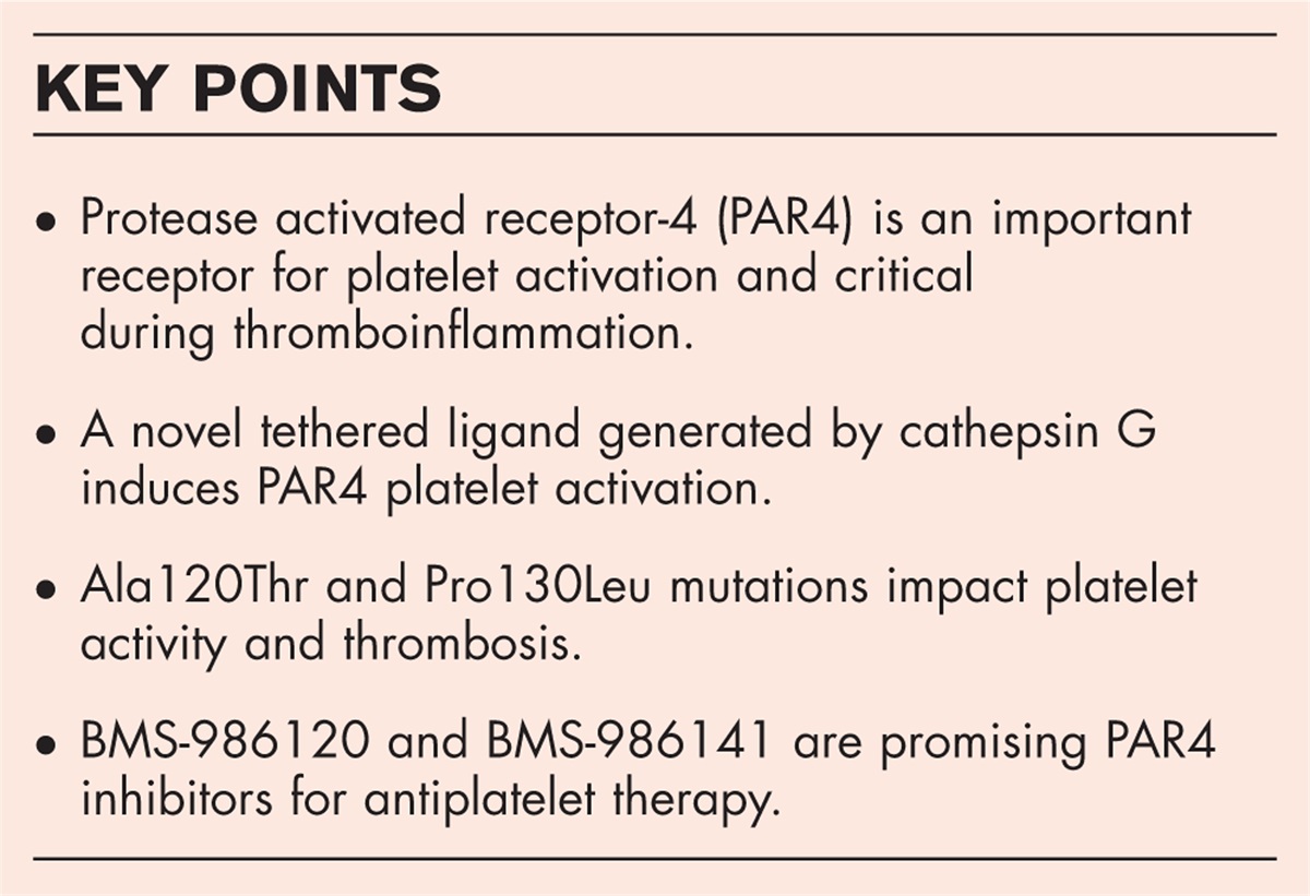 Protease activated receptor-4: ready to be part of the antithrombosis spectrum