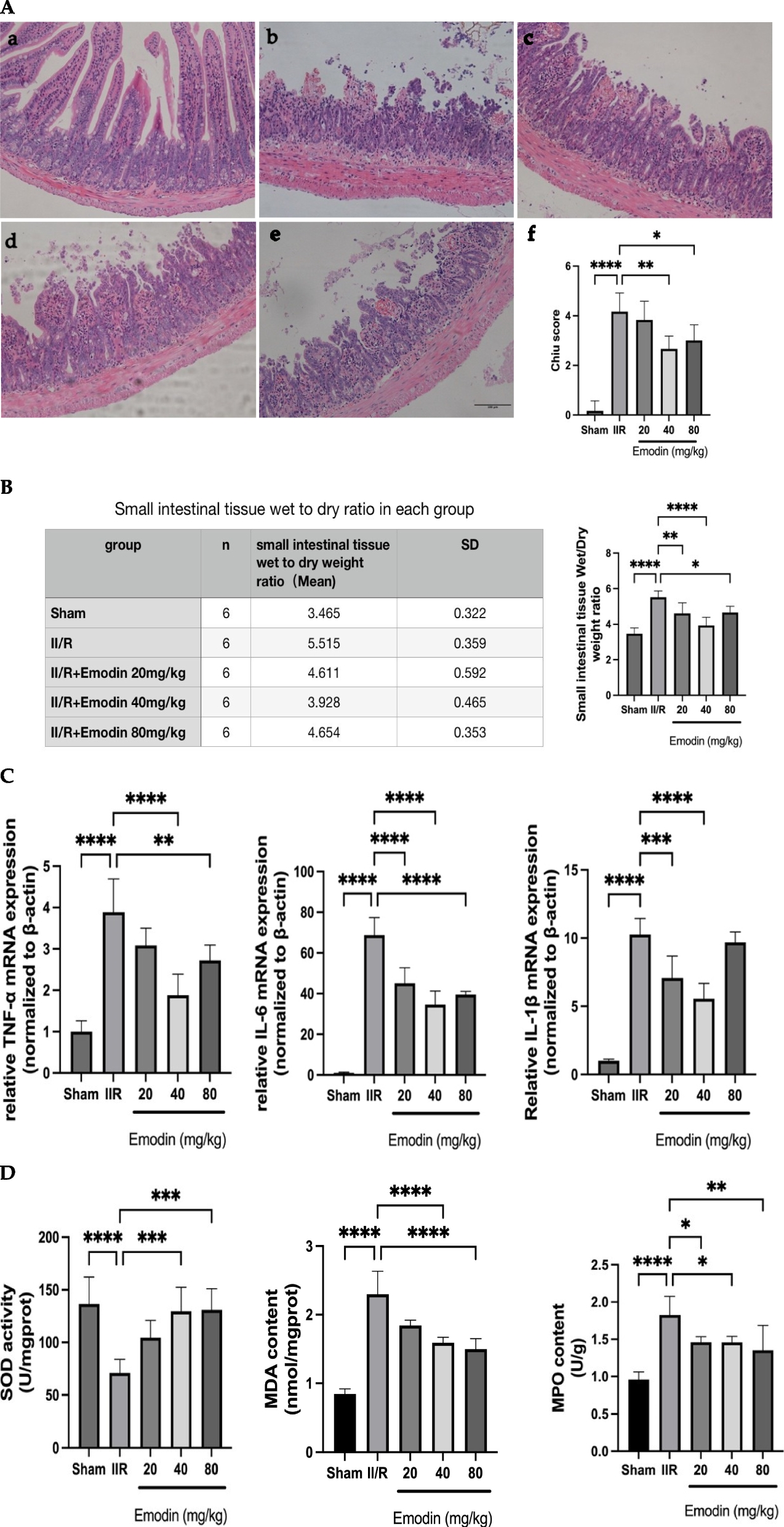 Emodin alleviates intestinal ischemia–reperfusion injury through antioxidant stress, anti-inflammatory responses and anti-apoptosis effects via Akt-mediated HO-1 upregulation