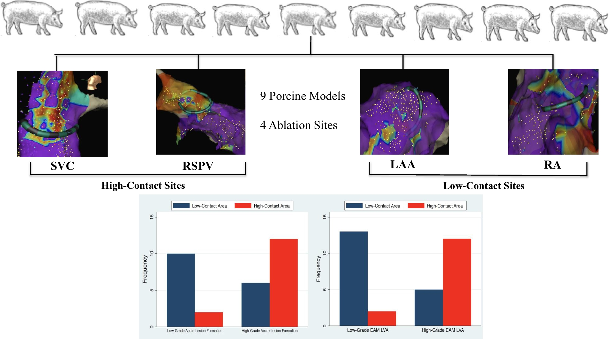 The importance of electrode-tissue proximity in creating pulsed field ablation lesions: insights from a sub-acute preclinical model