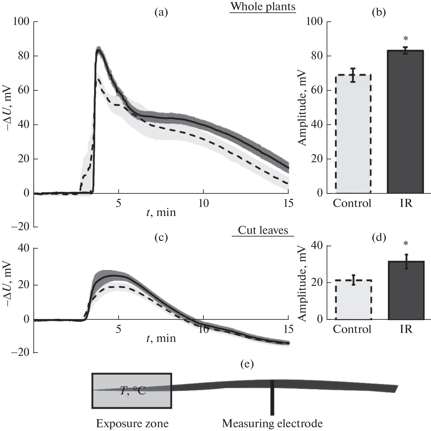 Analysis of Molecular Mechanisms of Chronic Irradiation Effects on Electrical Signals in Wheat Plants