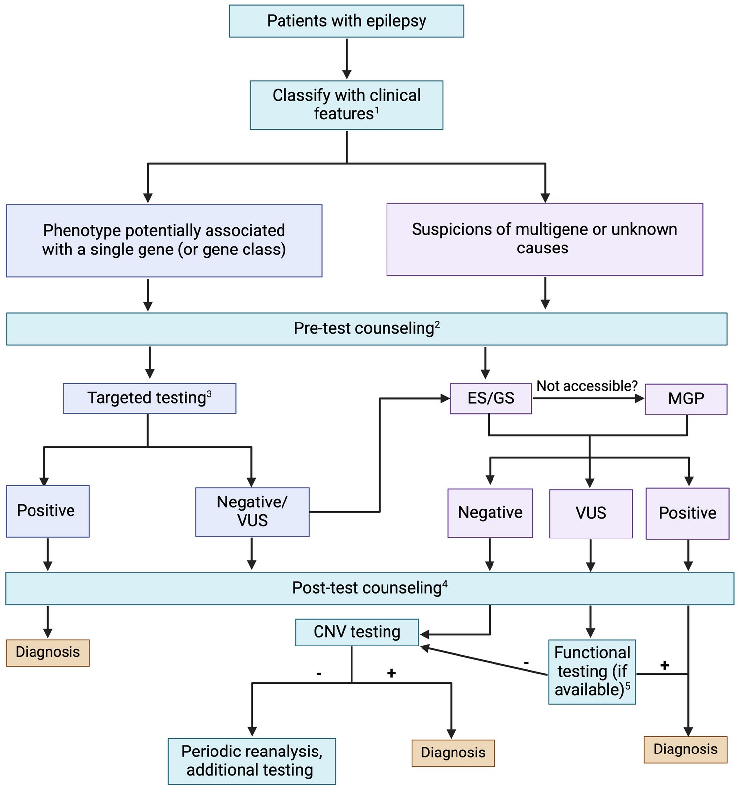 Genetic Testing for Epilepsy: A User Guide