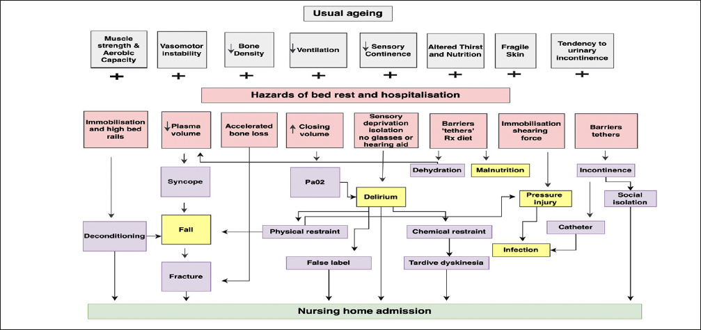 Most Hospital-Acquired Complications among Older Adults Are Associated with Frailty: The South-Western Sydney Frailty and Hospital-Acquired Complications Study