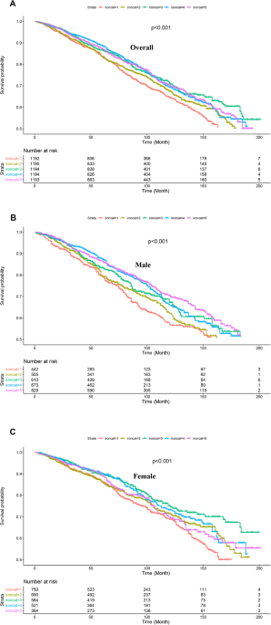 Dietary iron intake predicts all-cause and cardiovascular mortality in patients with diabetes