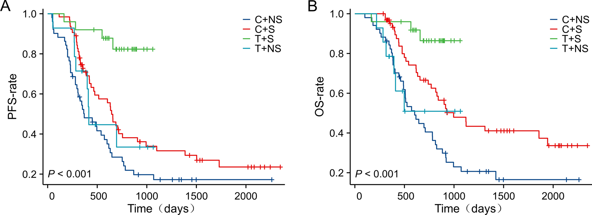 Tislelizumab synergizes with surgery to augment the survival benefit in stage II-III non-small cell lung cancer