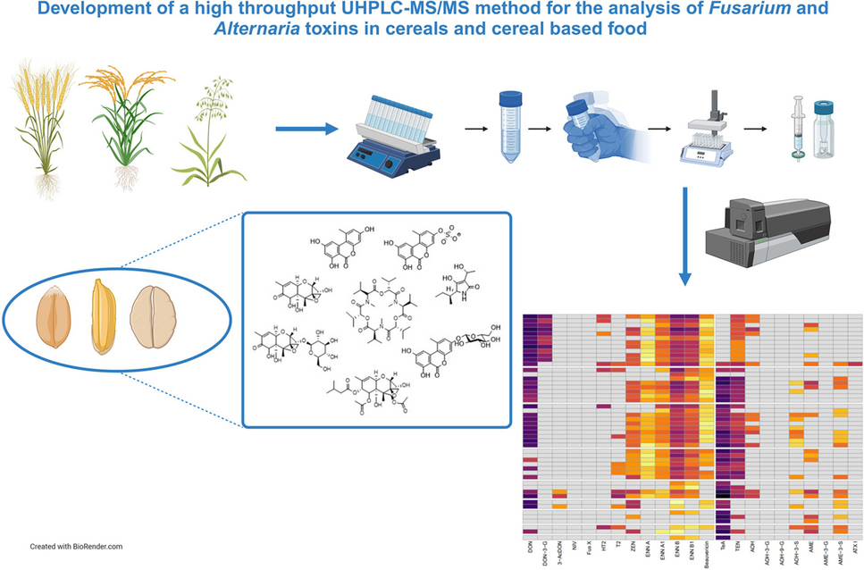 Development of a high-throughput UHPLC-MS/MS method for the analysis of Fusarium and Alternaria toxins in cereals and cereal-based food