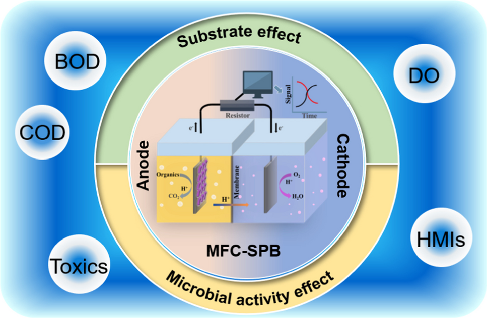 Recent advances in microbial fuel cell–based self-powered biosensors: a comprehensive exploration of sensing strategies in both anode and cathode modes