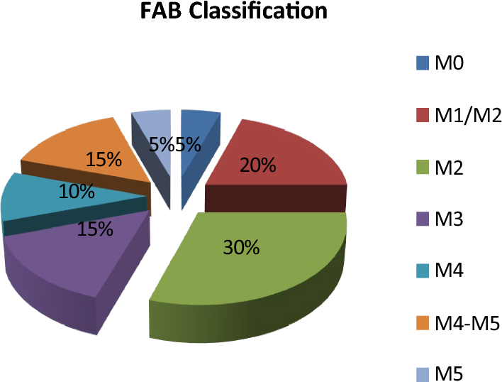 Characteristics of DNMT3a mutation in acute myeloid leukemia and its prognostic implication