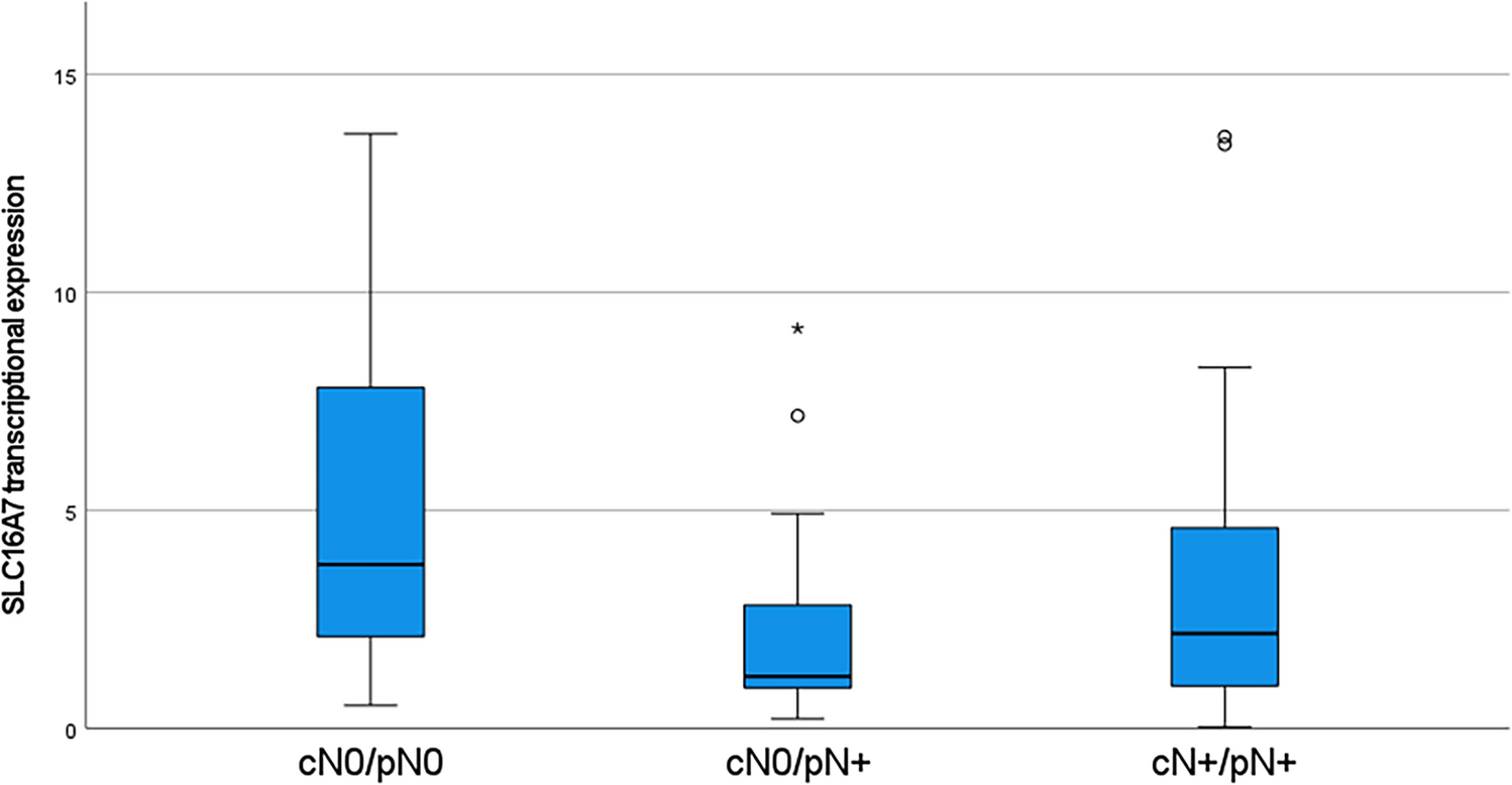 Transcriptional expression of SLC16A7 as a biomarker of occult lymph node metastases in patients with head and neck squamous cell carcinoma