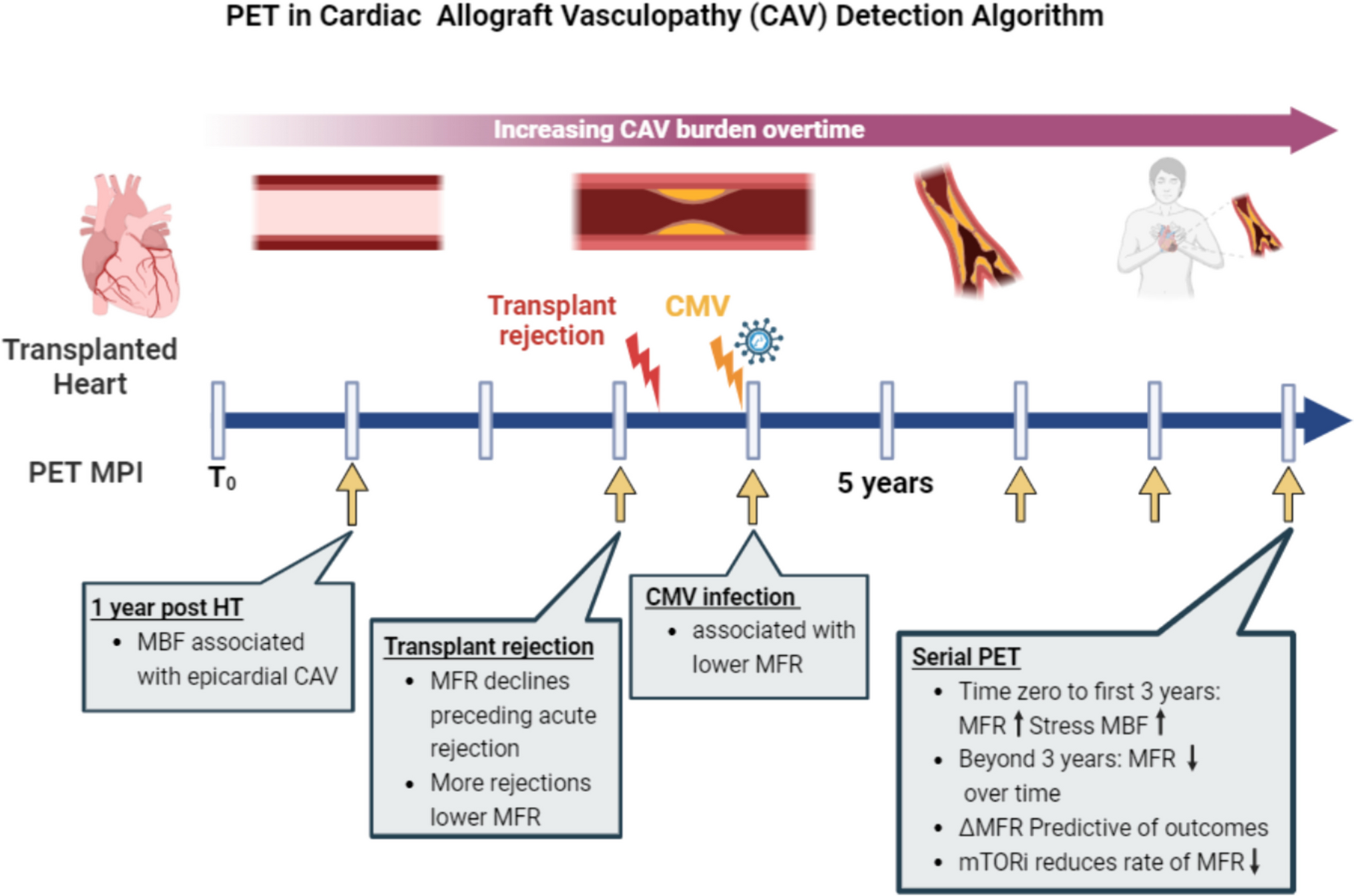 Positron Emission Tomography in the Diagnosis and Management of Cardiac Allograft Vasculopathy