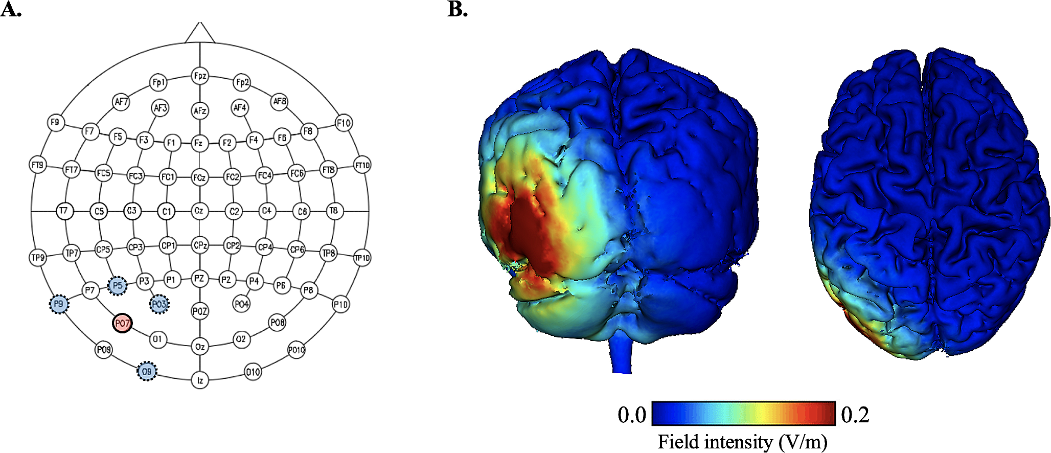 HD-tDCS to the lateral occipital complex improves haptic object recognition