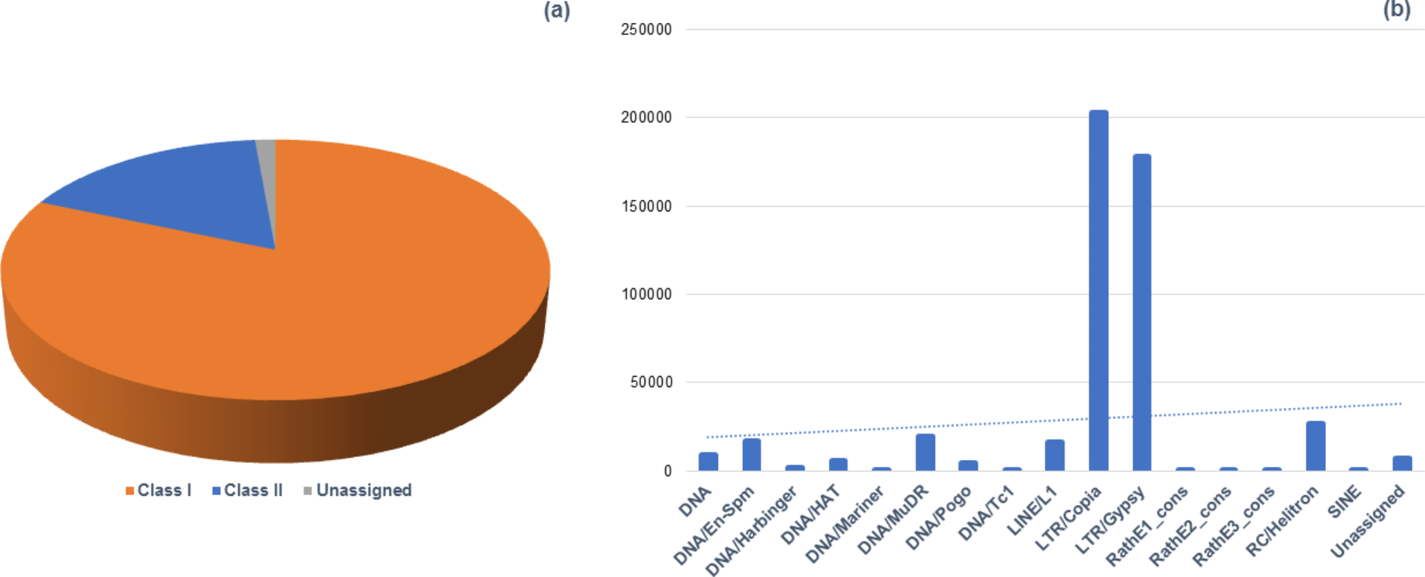 Whole-genome sequencing and identification of antimicrobial peptide coding genes in parsley (Petroselinum crispum), an important culinary and medicinal Apiaceae species