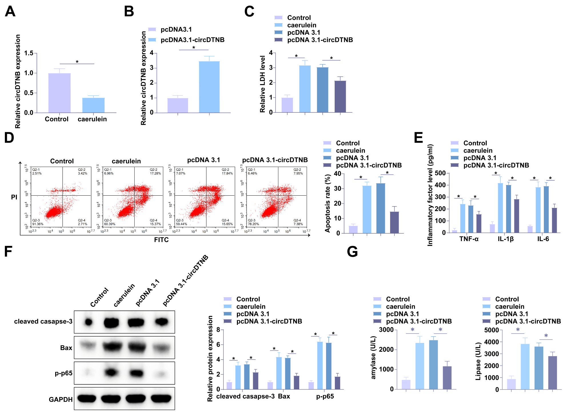 Regulatory axis of circular RNA DTNB, microRNA-485-5p, and myeloid cell leukemia 1 attenuates inflammation and apoptosis in caerulein-treated AR42J cells