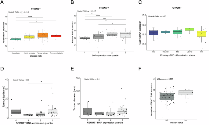 Involvement of Kindlin-1 in cutaneous squamous cell carcinoma