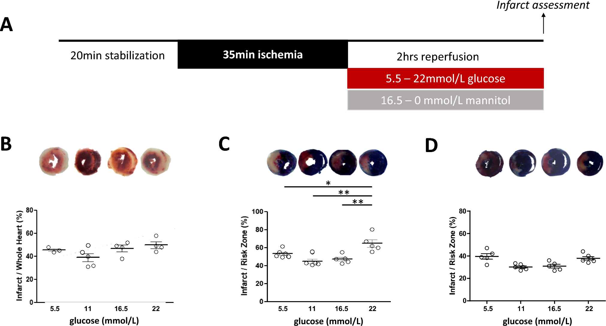 SGLT1 contributes to glucose-mediated exacerbation of ischemia–reperfusion injury in ex vivo rat heart