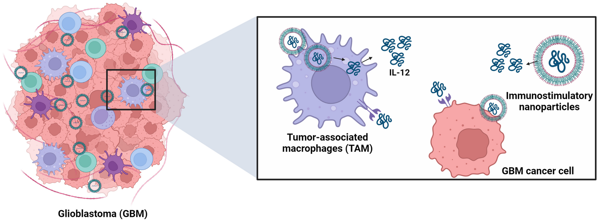 Immunostimulatory nanoparticles delivering cytokines as a novel cancer nanoadjuvant to empower glioblastoma immunotherapy