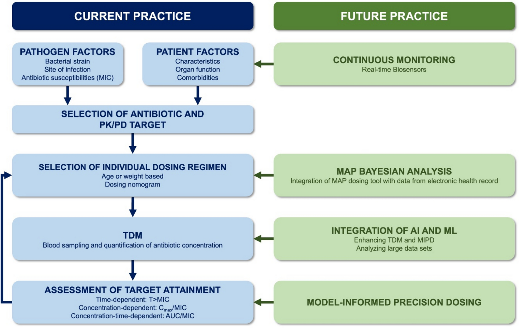 Dose Individualisation of Antimicrobials from a Pharmacometric Standpoint: The Current Landscape