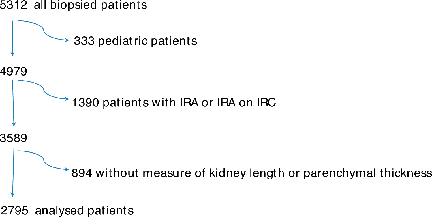 How histopathological diagnosis interacts with kidney ultrasound parameters and glomerular filtration rate