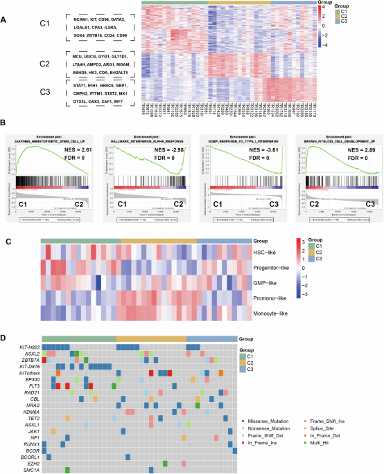 Multiomic analysis identifies a high-risk subgroup that predicts poor prognosis in t(8;21) acute myeloid leukemia