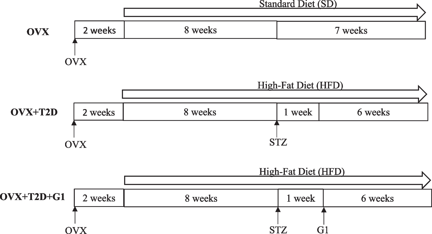 Cardioprotective effects of GPER agonist in ovariectomized diabetic rats: reversing ER stress and structural changes