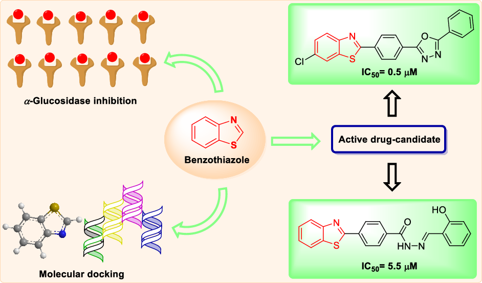 Benzothiazole derivatives as effective α-glucosidase inhibitors: an insight study of structure-activity relationships and molecular targets