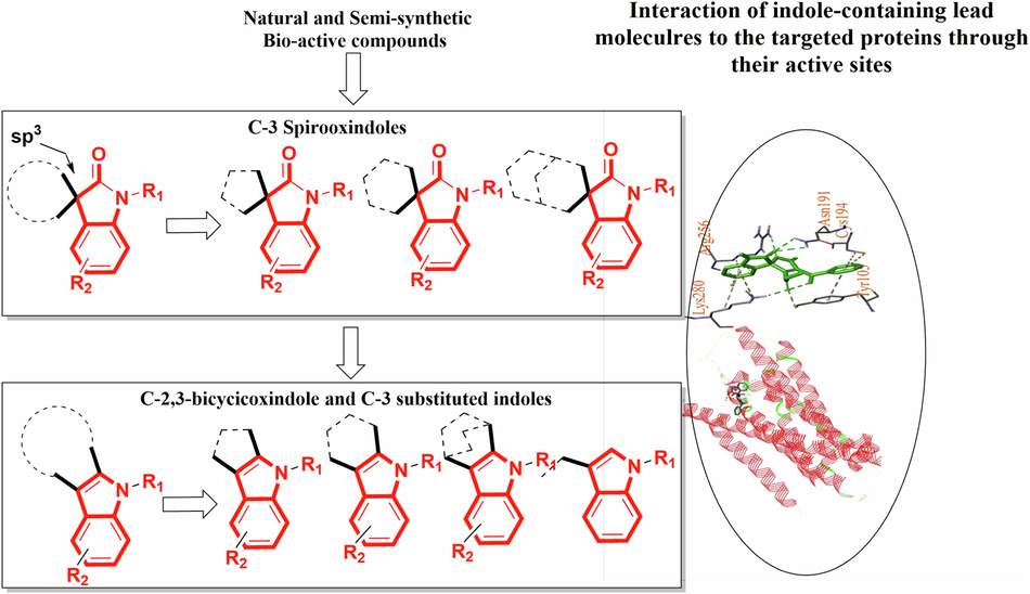 Medicinal significance of sp2/sp3 hybridized at C-3-substituted indole-containing lead molecules and FDA-approved drugs