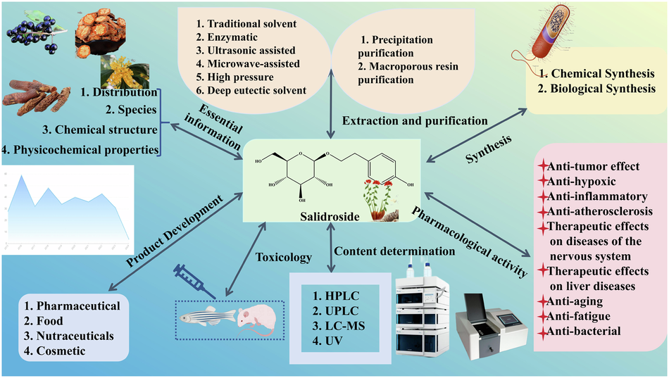 Extraction and purification, pharmacological action, synthesis and product development of salidroside: a review