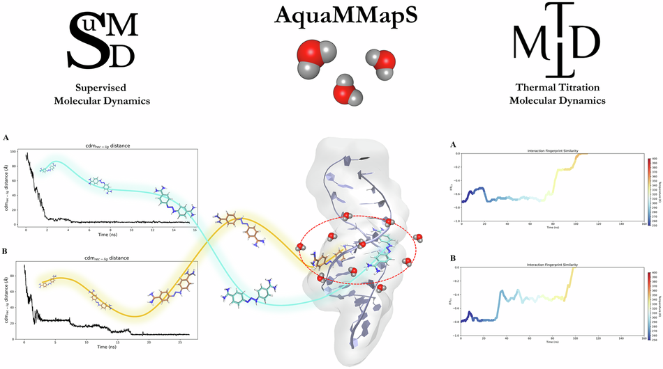 A second life for the crystallographic structure of Berenil-dodecanucleotide complex: a computational revisitation thirty years after its publication