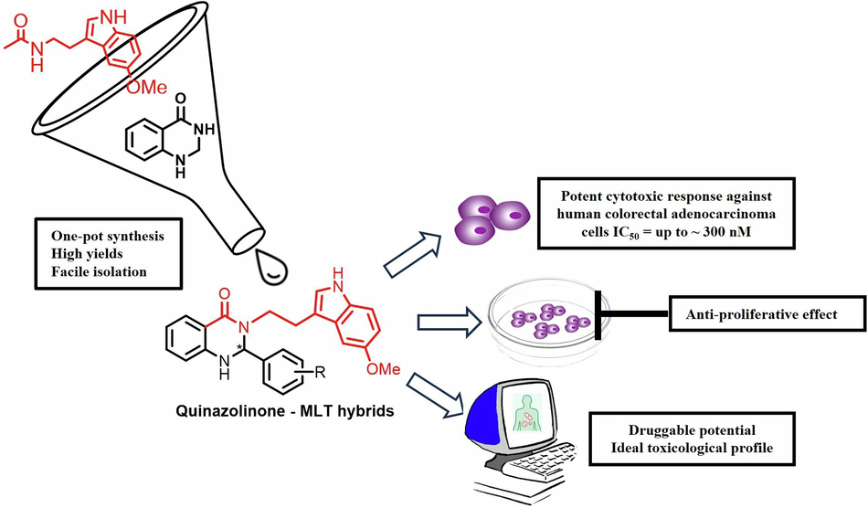 A potent therapeutic scaffold fusing quinazolinone/melatonin for future colorectal cancer interventions: design, one-pot synthesis, biological and ADME-tox modeling studies