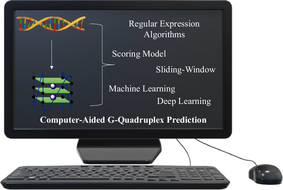 Insights into computer-aided G-quadruplex prediction in the digital age