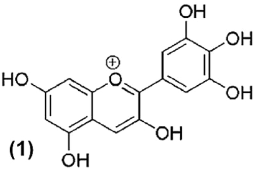 Anticancer potential of delphinidin and its derivatives: therapeutic and mechanistic insights