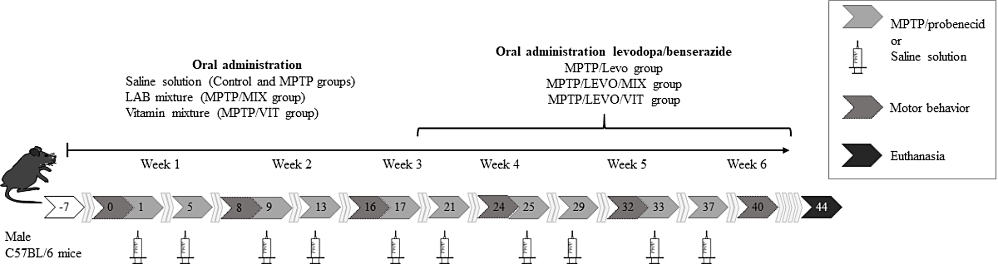 Neuroprotective Effects Exerted by a Combination of Selected Lactic Acid Bacteria in a Mouse Parkinsonism Model under Levodopa-Benserazide Treatment