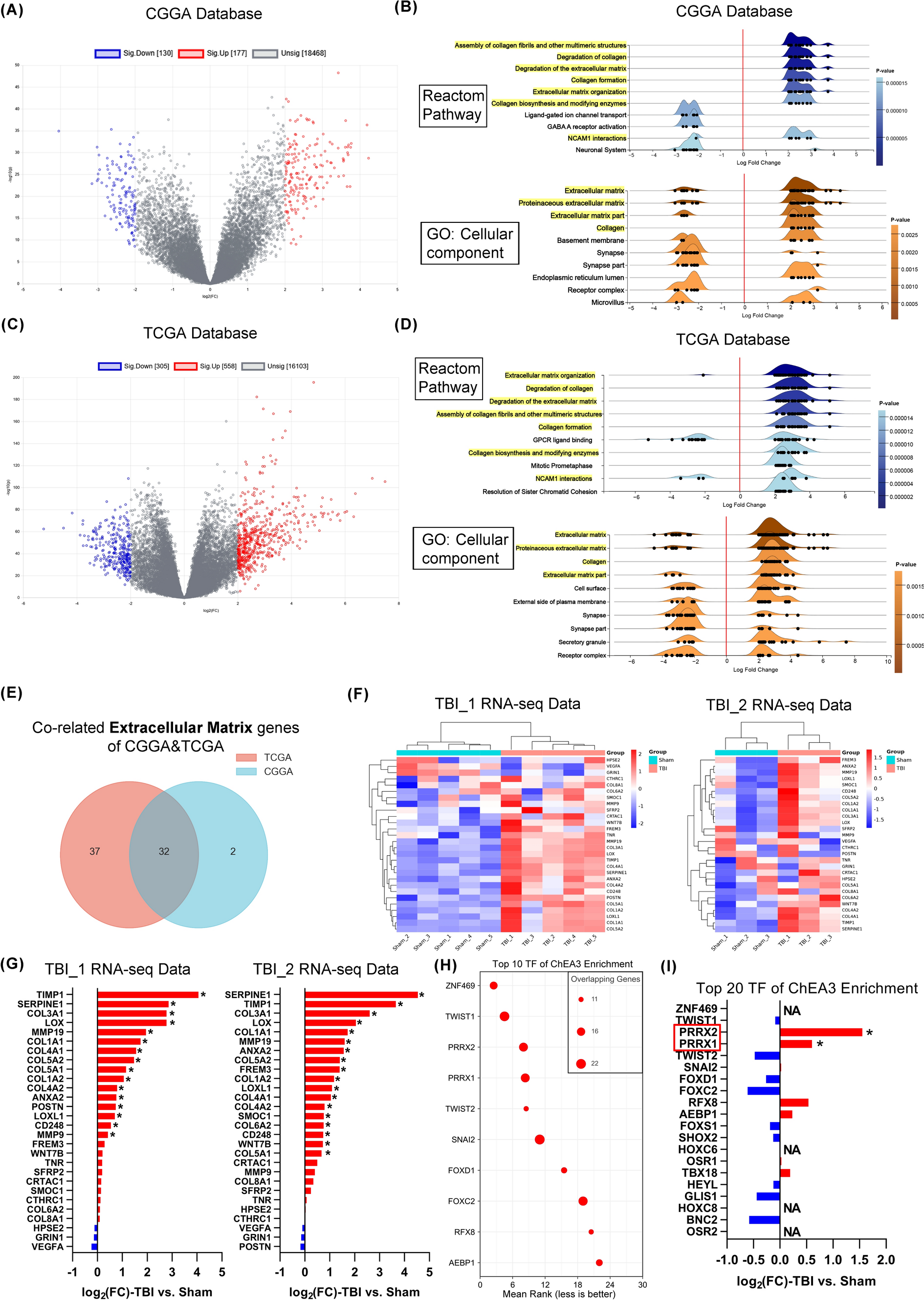 Propofol Protects the Blood-Brain Barrier After Traumatic Brain Injury by Stabilizing the Extracellular Matrix via Prrx1: From Neuroglioma to Neurotrauma