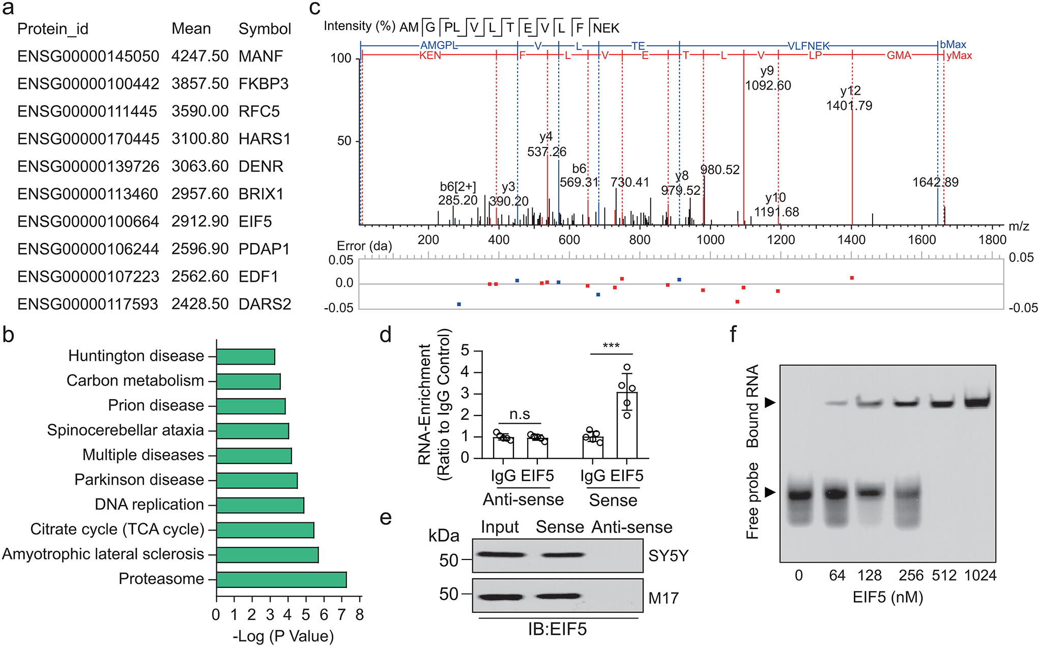 LINC00894 Regulates Cerebral Ischemia/Reperfusion Injury by Stabilizing EIF5 and Facilitating ATF4-Mediated Induction of FGF21 and ACOD1 Expression