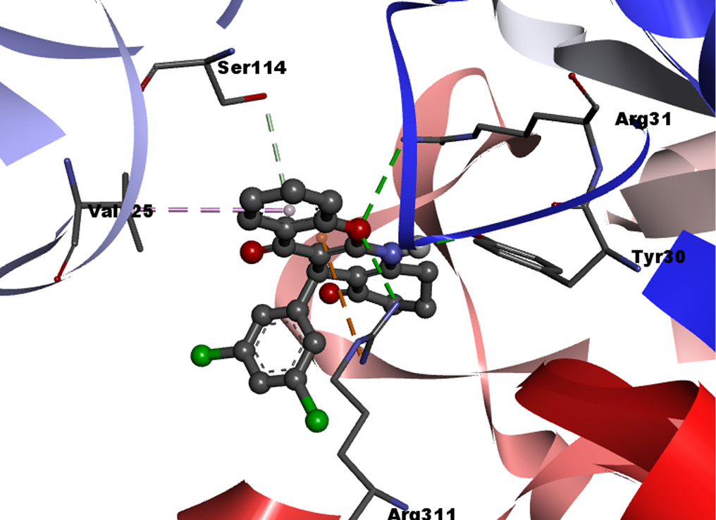 [Et3NH][HSO4]-Catalyzed Synthesis of Chromenoquinoline-10,12(6H)-dione Derivatives via Mortar-Pestle Grinding Approach and Their Docking Studies