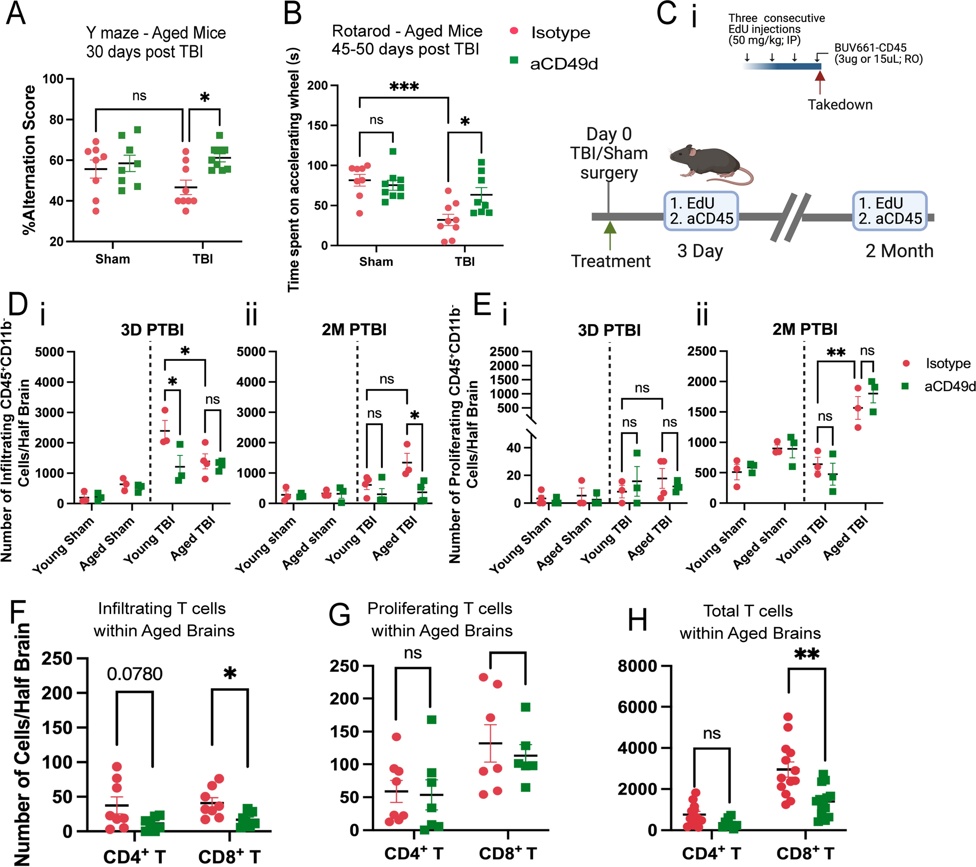 Anti-CD49d Ab treatment ameliorates age-associated inflammatory response and mitigates CD8+ T-cell cytotoxicity after traumatic brain injury