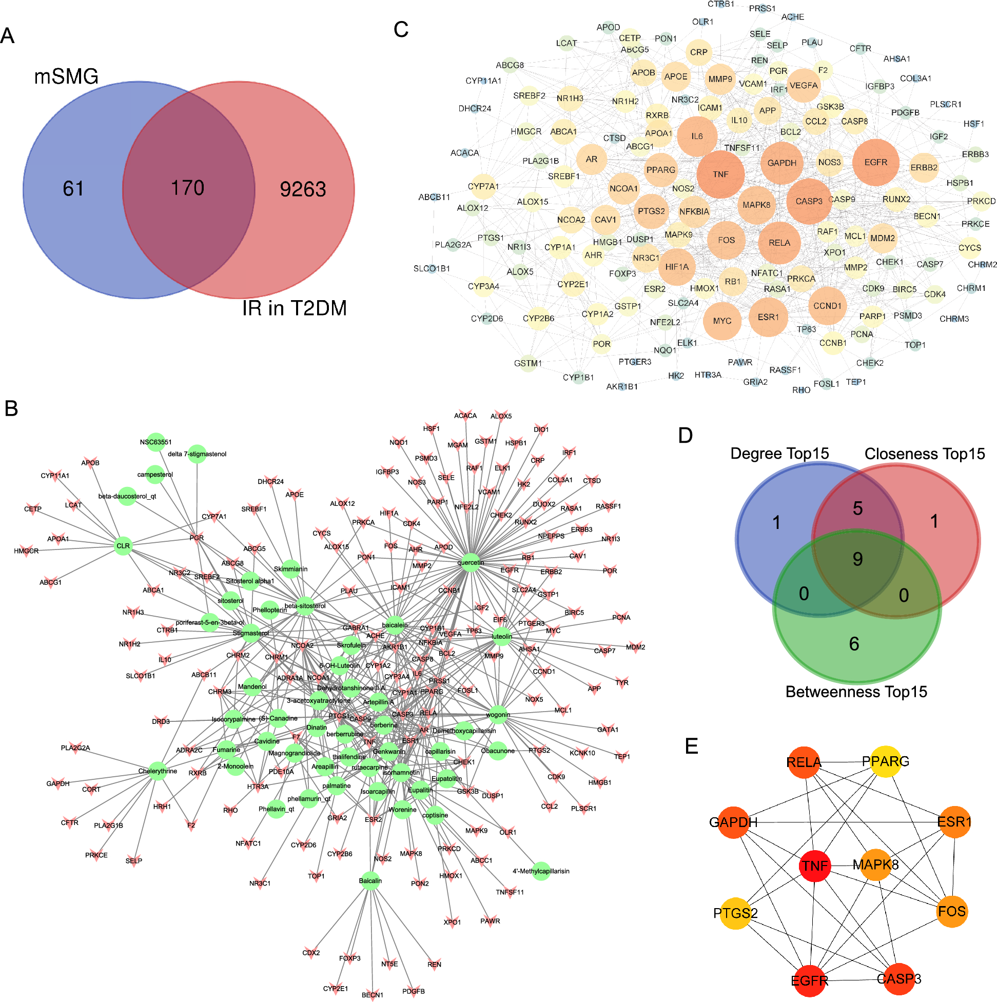 Correction: The improvement of modified Si-Miao granule on hepatic insulin resistance and glycogen synthesis in type 2 diabetes mellitus involves the inhibition of TNF-α/JNK1/IRS-2 pathway: network pharmacology, molecular docking, and experimental validation