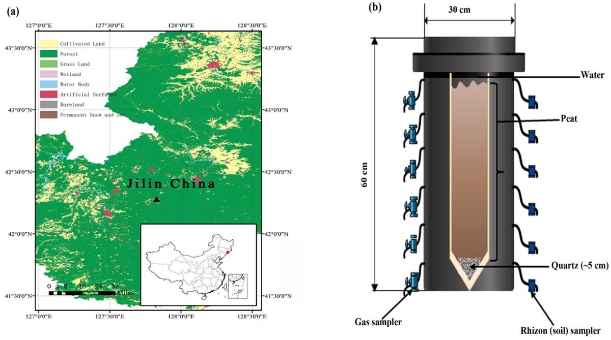 New insights into the spatial variability of microbial diversity and density in peatlands exposed to various electron acceptors with an emphasis on methanogenesis and CO2 fluxes