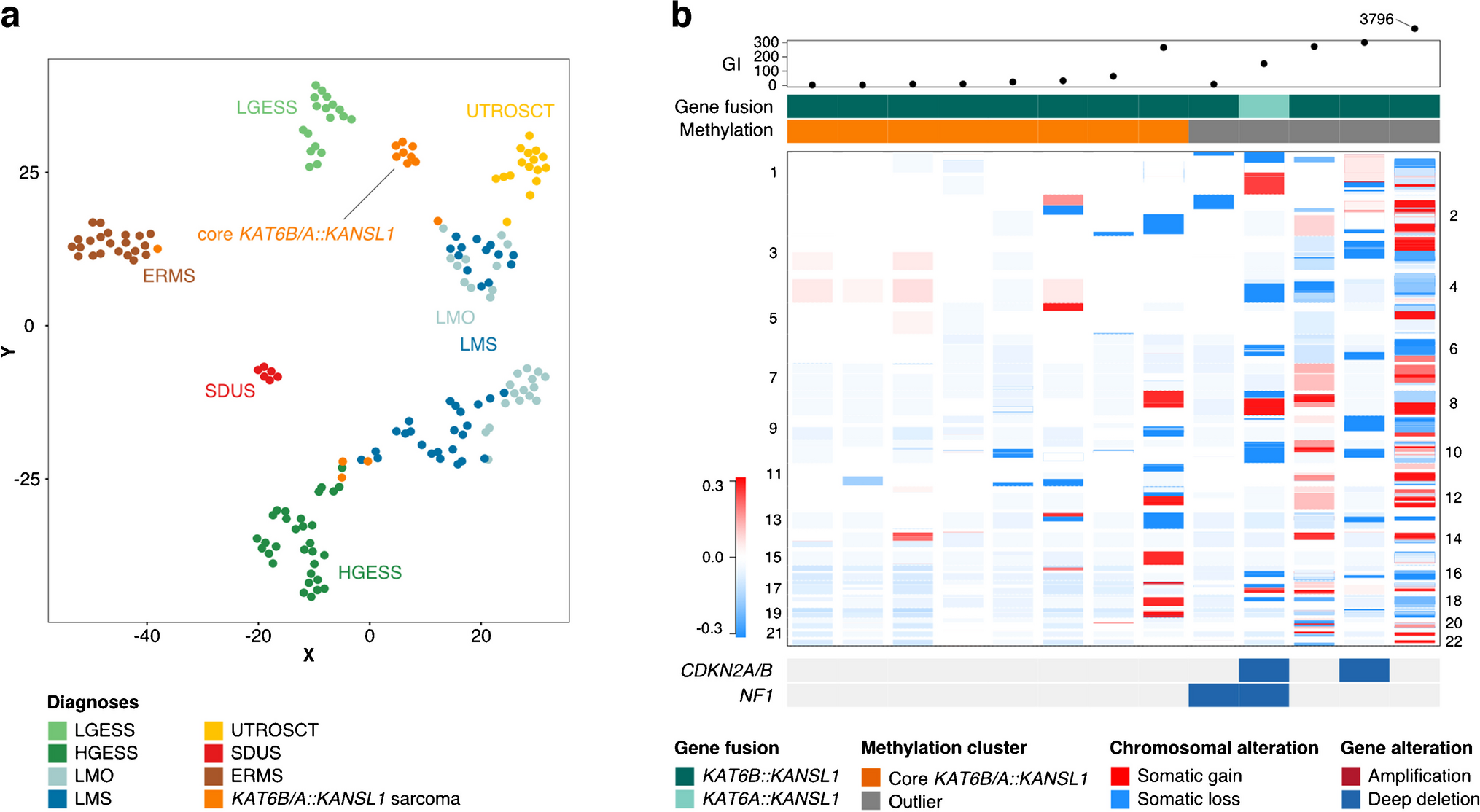 Uterine mesenchymal tumours harboring the KAT6B/A::KANSL1 gene fusion represent a distinct type of uterine sarcoma based on DNA methylation profiles