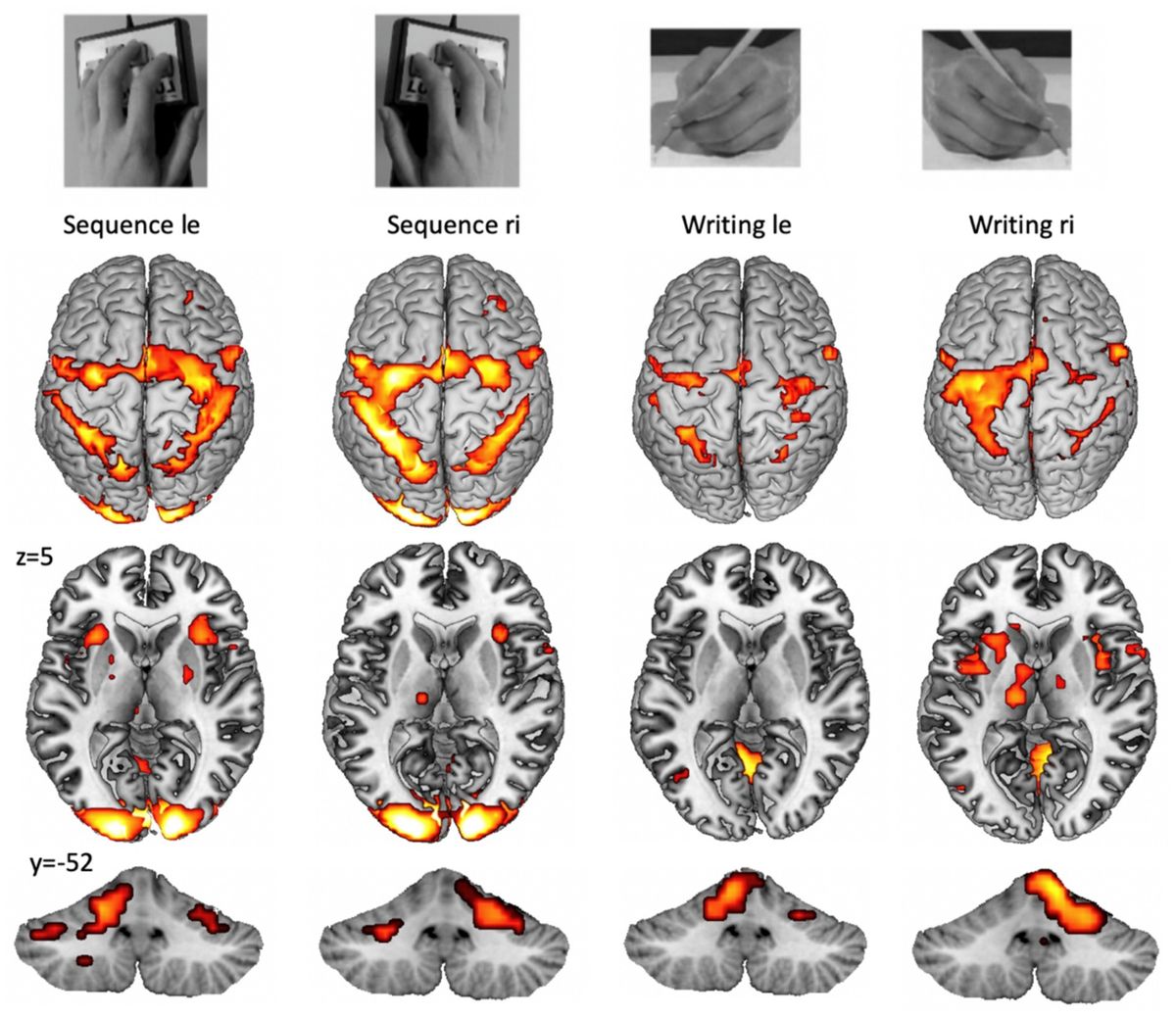 Performance control during longitudinal activation fMRI studies